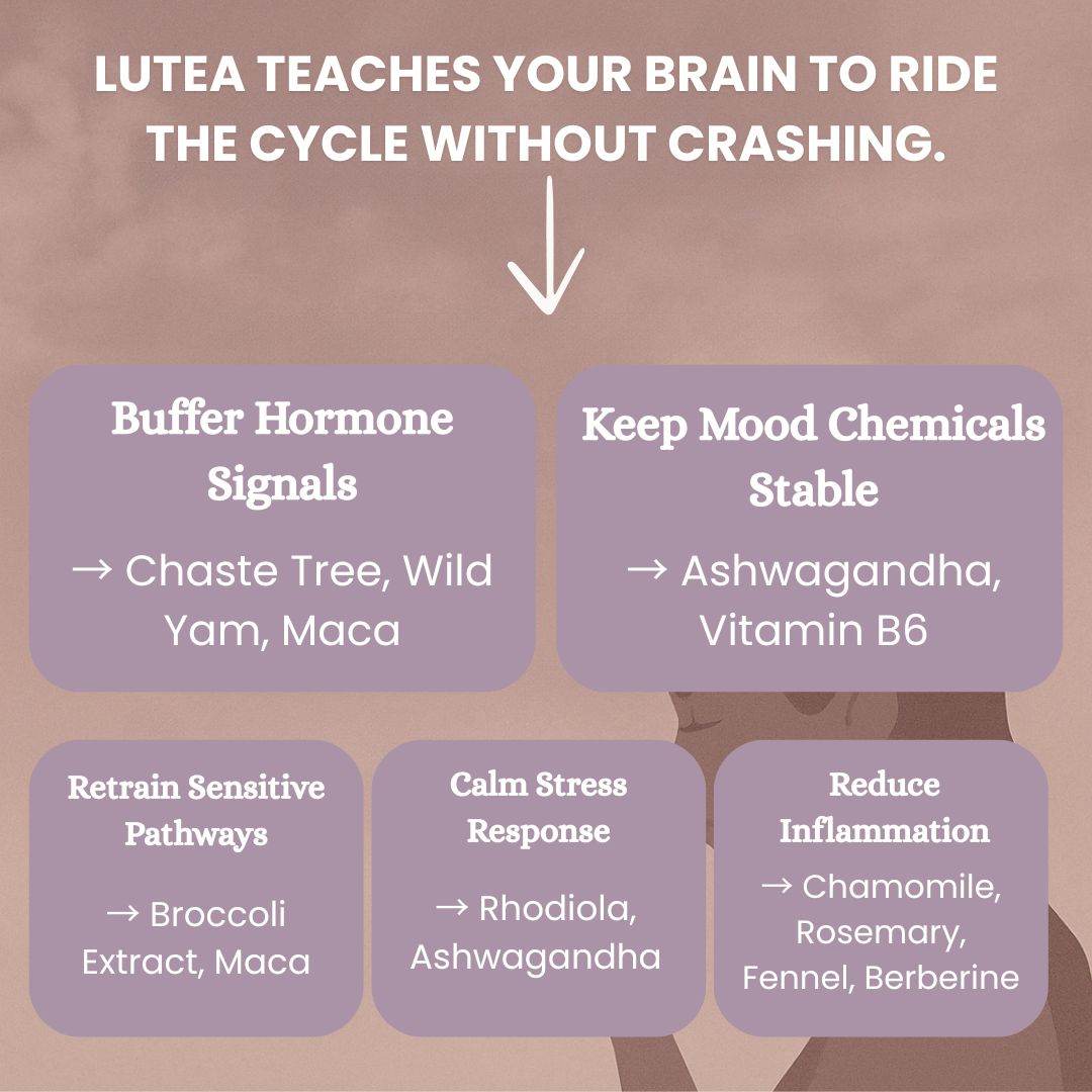 Lutea PMDD Starter Kit